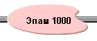 Эпам 1000