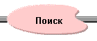 Поиск